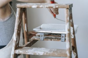 Budowa mini zoo na posesji: edukacyjna przestrzeń dla miłośników natury